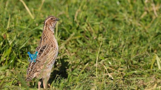 أسماء مشاريع من القرآن 2 أسماء مشاريع من القرآن